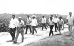 19112017 Ing. Salvador Perches Estrada y Lic. JesÃºs Reyes GarcÃ­a durante una inspecciÃ³n agrÃ­cola a fines de los aÃ±os 70.
