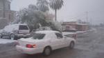 En el municipio de Ocampo la nieve cubrió las calles.