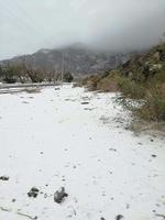 Usuarios del municipio de Viesca compartieron algunas fotografías de la nevada de este viernes.