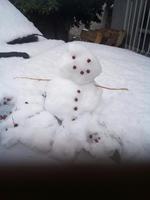 Hubo quienes aprovecharon la oportunidad para realizar el clásico muñeco de nieve.
