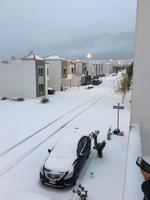 La ciudad de Saltillo se 'pintó' también de blanco debido a las bajas temperaturas registradas.