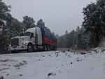 Regresan las nevadas a Durango