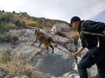Participaron binomios caninos de la Policía de Torreón.
