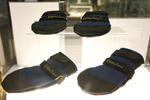 "Son las primeras botas de calzado no humano que albergamos en nuestro museo", comentó la presidenta del museo.