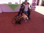Los pequeños del hogar disfrutaron de la demostración de los Binomios Caninos por parte de la Policía Federal.