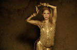 Shakira. La primera persona en conseguir 100 millones de seguidores en Facebook