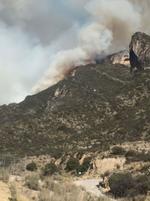 Fue alrededor de las 17:00 horas del domingo que se reportó un incendio en la Sierra de Zapalinamé, en su acceso por el Cañón de San Lorenzo.