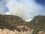 Un total de 400 hectáreas fue el saldo que dejó el incendio que se registró la tarde de hoy en la Sierra Zapalinamé en Saltillo, el cual se estima fue provocado por unos excursionistas.