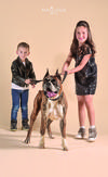 27052018 Miguel y Regina junto a Baxter, perro de raza bóxer. - Maqueda Pets