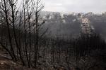 Por ahora se desconocen las causas de estos incendios, un total de 47 en las últimas 24 horas en toda Grecia, pero se sospecha que los de la región capitalina de Atica podrían haber sido intencionados.