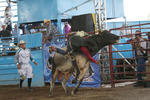 Después de 20 emocionantes montas de toro, en la categoría Mayor, el primer lugar se lo llevó Ricardo Gonzalez, de Chihuahua, quien demostró su talento.