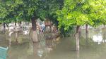 Árboles y bancas quedaron inundadas tras las lluvias en Torreón.