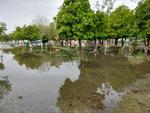 Árboles y bancas quedaron inundadas tras las lluvias en Torreón.