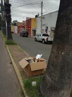 Avenida Francisco Sarabia. Ante la falta de botes de basura, las personas aprovechan cualquier estructura para dejar basura. (EL SIGLO DE DURANGO)