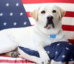 El can fue nombrado en honor al piloto Chesley "Sully" Sullenberger, quien en 2009 aterrizó un avión comercial de pasajeros en el río Hudson de Nueva York, acción que le salvó la vida a las 159 personas a bordo de la aeronave.