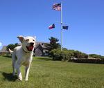 El can fue nombrado en honor al piloto Chesley "Sully" Sullenberger, quien en 2009 aterrizó un avión comercial de pasajeros en el río Hudson de Nueva York, acción que le salvó la vida a las 159 personas a bordo de la aeronave.