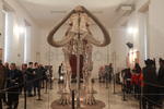 Con esta exhibición del mamut es la oportunidad para difundir las investigaciones más recientes que se han realizado en la entidad duranguense y que se han desarrollado en el ámbito de la arqueología y paleontología en Durango.