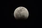 Aspectos del eclipse lunar desde Torreón.