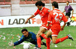 El guardameta originario de Morelos debutó en 1980 con el conjunto del Zacatepec; en la Primera División mexicana también defendió los colores del Cruz Azul, del Puebla y cerró su carrera con el equipo mexiquense Toros Neza; en tanto que con la playera de la selección participó en el Mundial disputado en México en 1986.