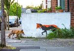 Fotografía de un zorro y un grafiti del mismo en la ciudad por Mathew Maron.