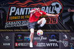 Panther Ball 2019, finales y premiación