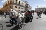 Los caballos se adueñaron de las calles de la ciudad.