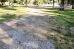 Se observan algunos caminos en que el pavimento se “desmorona” y requiere de trabajos para repararlos.
