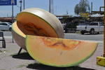 El cultivo del melón es identitario del municipio de Matamoros y prueba de ello es la figura de un melón monumental en una de las entradas principales.