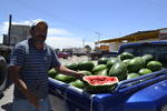 La cosecha y comercialización de la sandía es otro distintivo más del municipio de Matamoros. Ambas frutas se recolectan durante los mismos meses, aunque el melón de La Laguna es el más popular a nivel nacional.