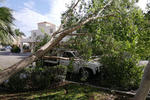 La estación de bomberos recibió 39 notificaciones de caída de árboles en distintos puntos de Torreón.