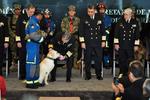Durante la ceremonia en 'Conmemoración al Día Internacional del Rescatista', se entregó la Condecoración 'Al Mérito' a la Unidad Canina y Personal de Rescatistas.