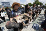 Decenas de personas se manifestaron en contra del consumo de carne de perro.