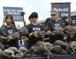 Decenas de personas se manifestaron en contra del consumo de carne de perro.