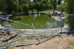 Dañado. Algunas zonas del parque se observan completamente destruidas, tal es el caso de la malla que resguarda uno de los pequeños lagos.