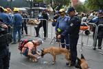 Después de su destacable participación en los rescates de la Ciudad de México, tanto Agatha como Zeus ya son canes retirados del servicio del escuadrón canino.