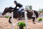 Tercera Copa las Brisas
caballo caballos ecuestre equitación hípico las brisas