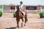 Tercera Copa las Brisas
caballo caballos ecuestre equitación hípico las brisas