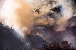 La emergencia para el norte de California es aún mayor, donde las autoridades informaron de que otro incendio, el fuego Kincade, ya ha consumido 30,519 hectáreas y ha destruido 123 estructuras, incluidas 53 casas.