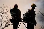 La emergencia para el norte de California es aún mayor, donde las autoridades informaron de que otro incendio, el fuego Kincade, ya ha consumido 30,519 hectáreas y ha destruido 123 estructuras, incluidas 53 casas.