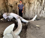 El arqueólogo Luís Córdoba Barradas informó además que en este sitio se encontraron dos trampas de mamut consideradas como las primeras en el mundo.