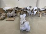 Las ubican con más de 800 huesos, informó el arqueólogo Córdoba Barradas
