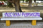 El Instituto Municipal de la Mujer en Torreón, condenó los hechos.