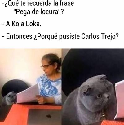 Los memes que dejó la golpiza de Carlos Trejo hacia Rey Grupero 