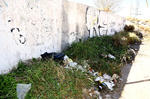 Algunas terrenos están solos y dejan la basura, incluso en las banquetas al lado de las viviendas que están habitadas.