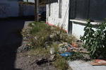 Algunas terrenos están solos y dejan la basura, incluso en las banquetas al lado de las viviendas que están habitadas.
