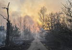 Bomberos y lluvia controlan incendios cerca de Chernóbil