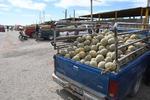 El precio del melón y sandía se mantiene a la expectativa para los productores, a 7 y 4.50 pesos, respectivamente, en el lugar conocido como Las Meloneras, donde se comercializan a diario.
