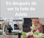 Memes Adele