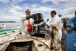 Autoridades y sociedad civil se afanan en los trabajos de limpieza y en el buque avanzan a buen ritmo los trabajos para sellar brechas 