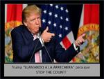 'Detengan el conteo', exige Trump y memes le 'responden' en redes  